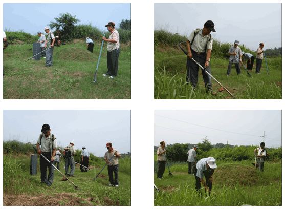 <벌초대행업 관련 사진> 